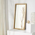 Safavieh 26 x 2 x 48 in. Ofelia Antique Brass Mirror CMI1002A